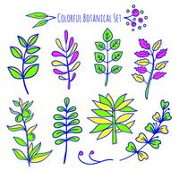 Vector hand drawn botanical elements