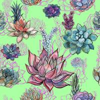 Watercolor pattern of succulent flowers. vector