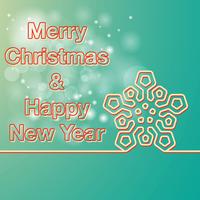 Merry Christmas and Happy New Year card vector