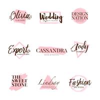 Pink Brush Logo Type Template Collection vector