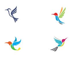 Vector de plantilla de logotipo y símbolos de icono de colibrí