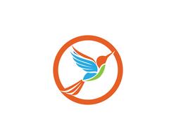 Hummingbird icon logo and symbols template vector