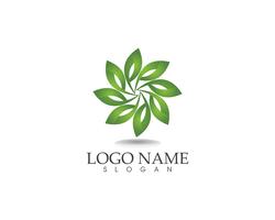 hoja verde naturaleza logotipo y símbolo plantilla vector