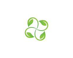 leaf green nature logo and symbol template Vector 