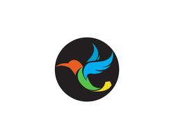 Hummingbird icon logo and symbols template vector