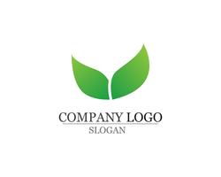 Hoja verde naturaleza logotipo y símbolo plantilla Vector aplicación