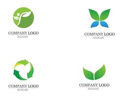 Hoja verde naturaleza logotipo y símbolo plantilla Vector aplicación