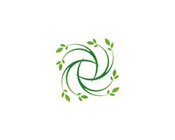 leaf green nature logo and symbol template Vector 