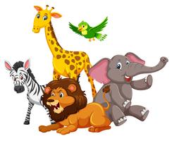 Group of wild animals vector