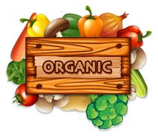 Organic vegetables and board vector