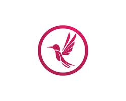 Hummingbird icon logo and symbols template vector