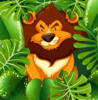 Wild lion in the green bush vector