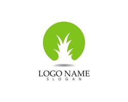 leaf green nature logo and symbol template Vector 