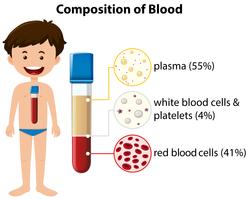 Composición del diagrama de sangre vector