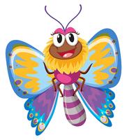Cute butterfly with colorful wings vector