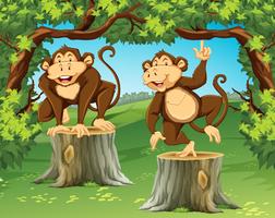 Two monkeys in the jungle vector