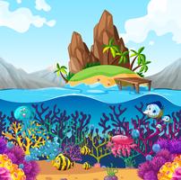 Scene with fish under the ocean vector