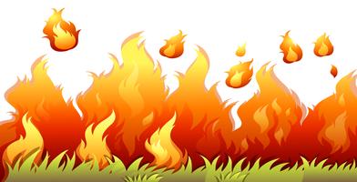 An isolated bushfire on white background vector