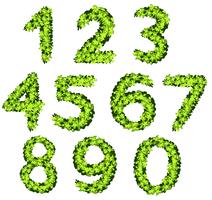 Font design for numbers with grass texture vector