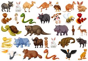 Set of wild animals vector