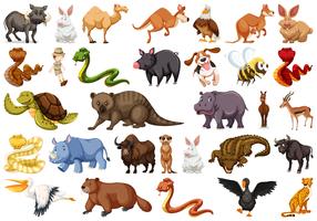 Conjunto de animales salvajes vector