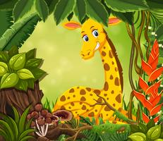 Giraffe on the nature frame vector