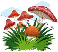 Mushrooms in garden on white background vector