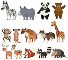 A Set of Animals on White Background vector