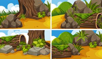 Four scenes with woods in the park vector