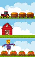 Three farm scenes with tractor and pumpkins vector