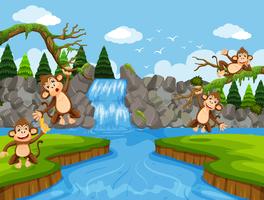 Cute monkeys in jungle scene vector