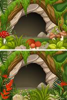 Two scenes of cave and flowers vector
