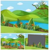 Mountain scenes with many animals vector