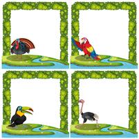 Set of bird on nature frame vector