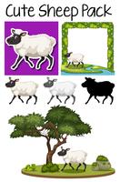 Pack of cute sheep vector