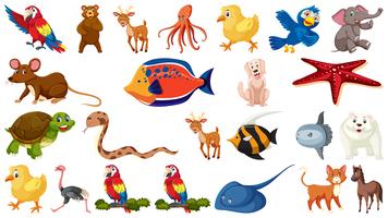 Set of wild animal vector