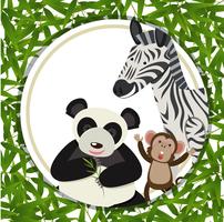 Different animals within a bamboo frame vector
