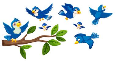 Tree branch and birds collection vector