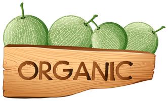 Frutas de melón y signo orgánico. vector