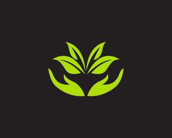 Logos green leaf ecology nature element vector icon