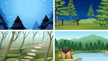 Set of different wood scenes vector