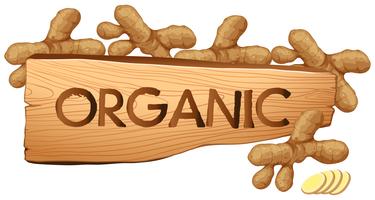 Organic sign with fresh gingers vector