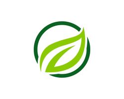 Logotipos de vector de elemento de naturaleza de hoja verde ecología