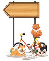 Different pets under the sign vector