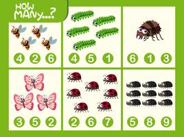 Insect math number worksheet vector