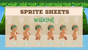 Sprite sheet brown bear walking vector