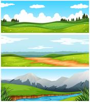 Escenas con campo y carretera en campo. vector