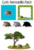 A pack of armadillo character vector