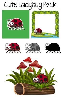 Set of ladybug character