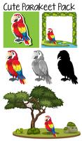 A pack of cute parrot vector